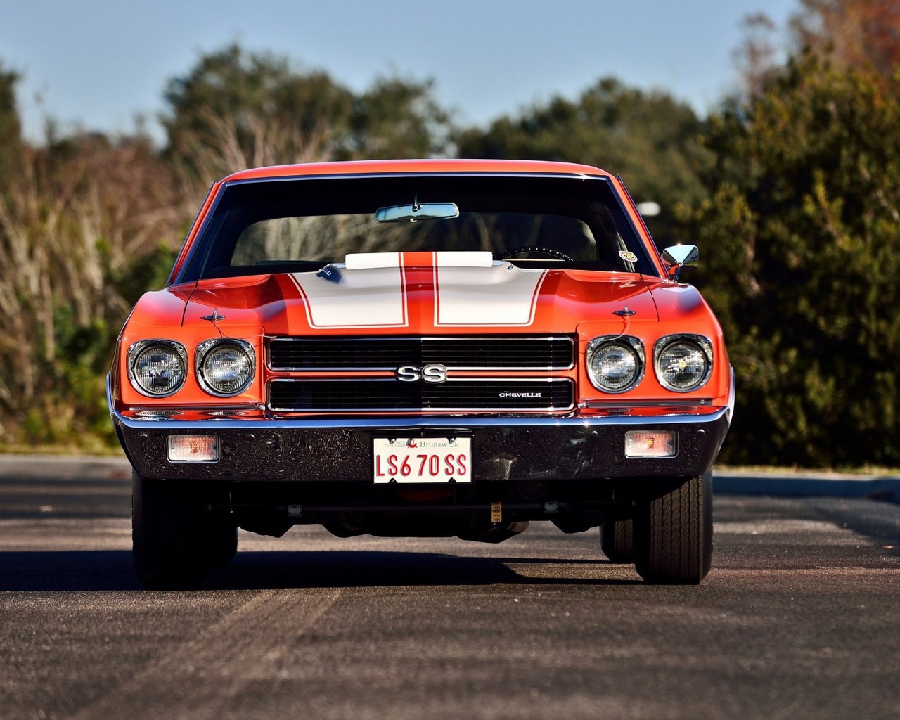 chevrolet, chevelle