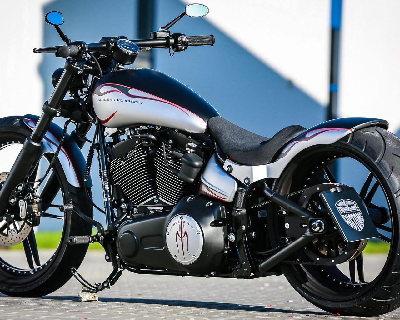 harley davidson, custom, thunderbike