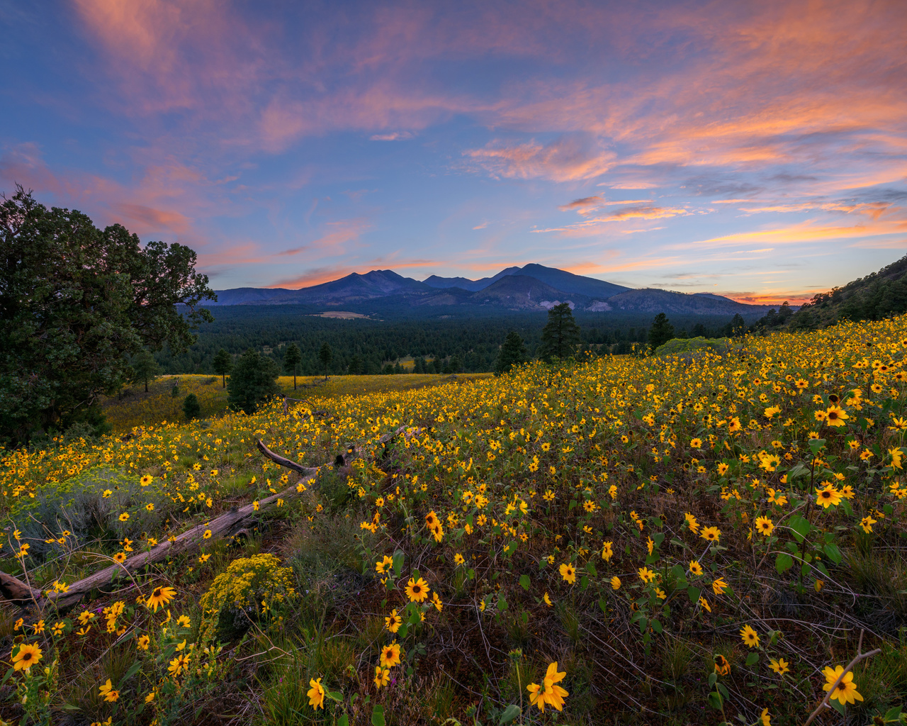 , , , flagstaff, arizona, , , 