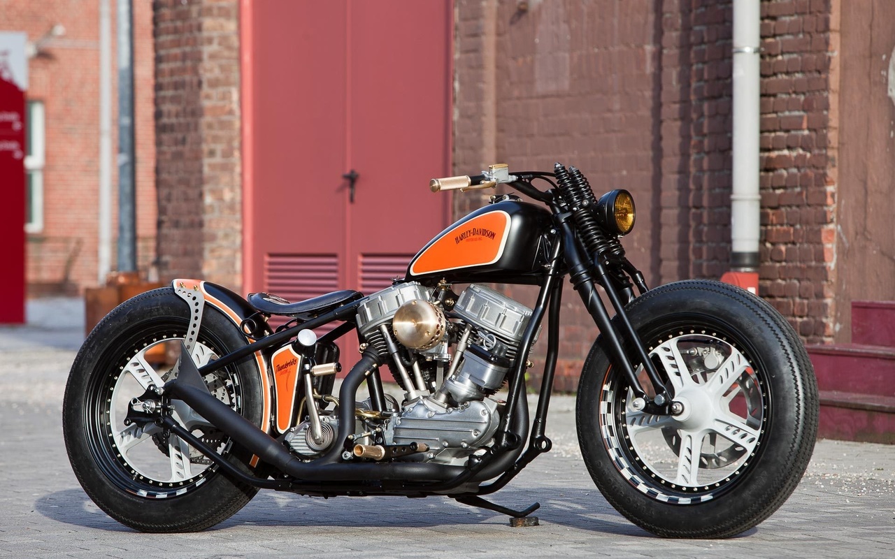 harley davidson, custom, thunderbike