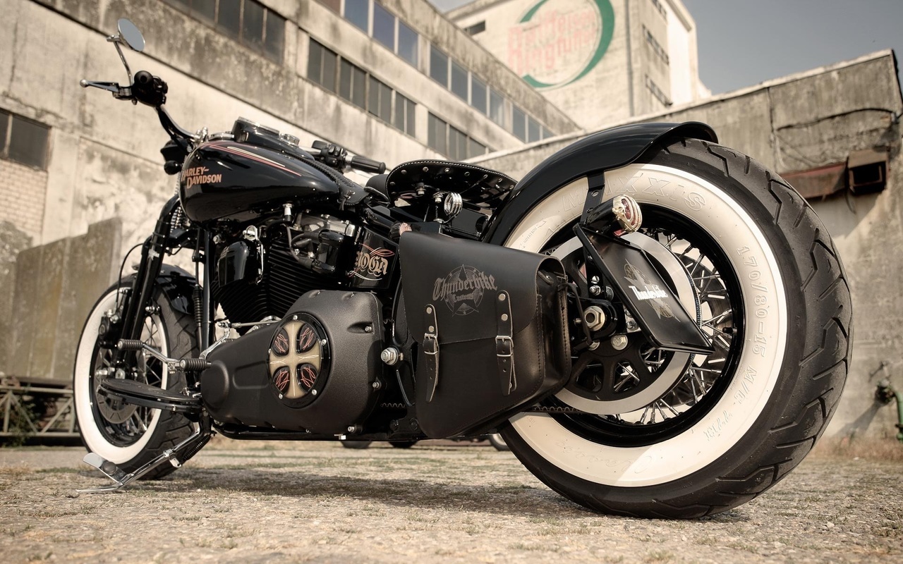 harley davidson, custom, thunderbike