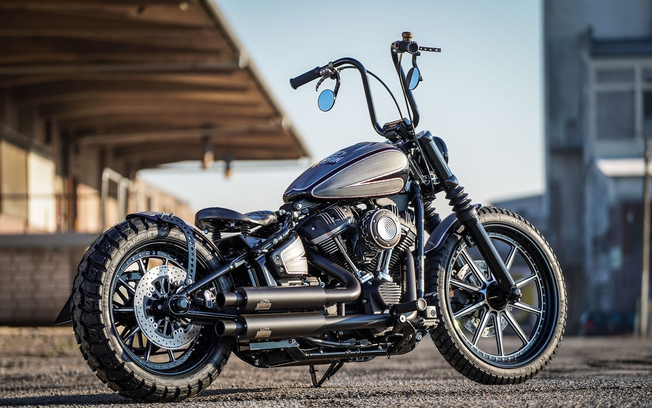 harley davidson, custom, thunderbike, street crosser