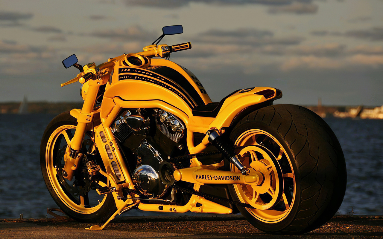 harley davidson, beach, mirror, road, motorcycle