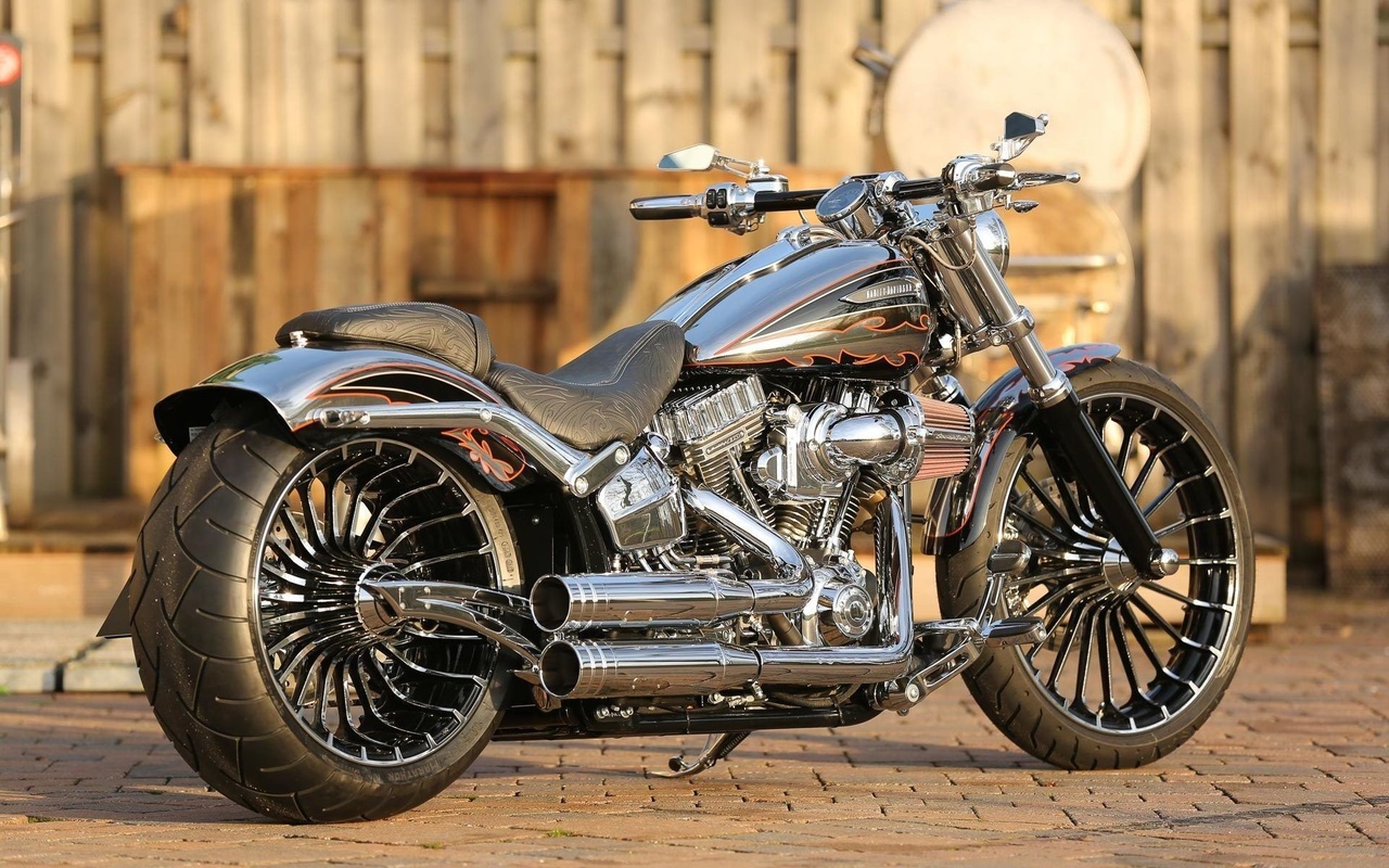 harley davidson, custom, thunderbike