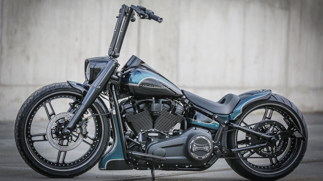 harley davidson, custom, thunderbike