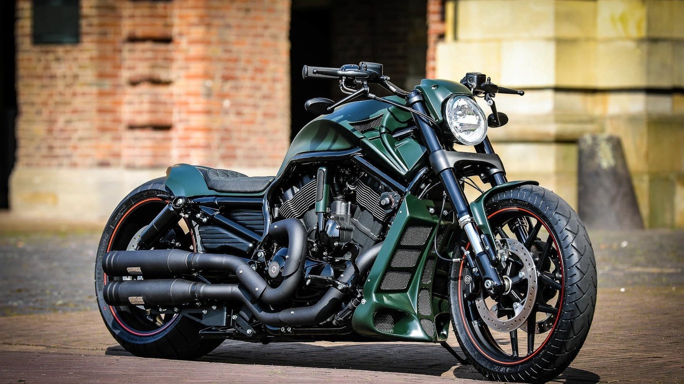 harley davidson, custom, thunderbike