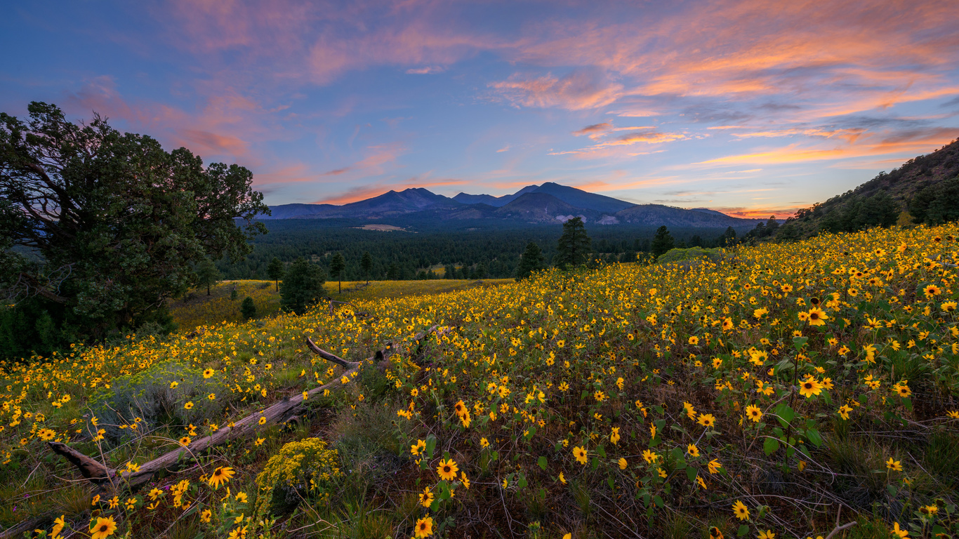 , , , flagstaff, arizona, , , 