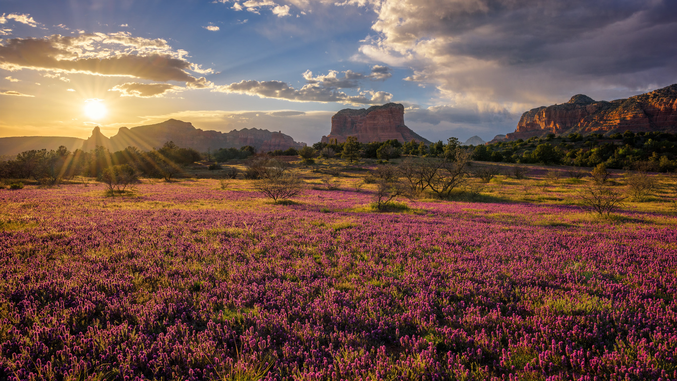 , , , , sedona, arizona, , 