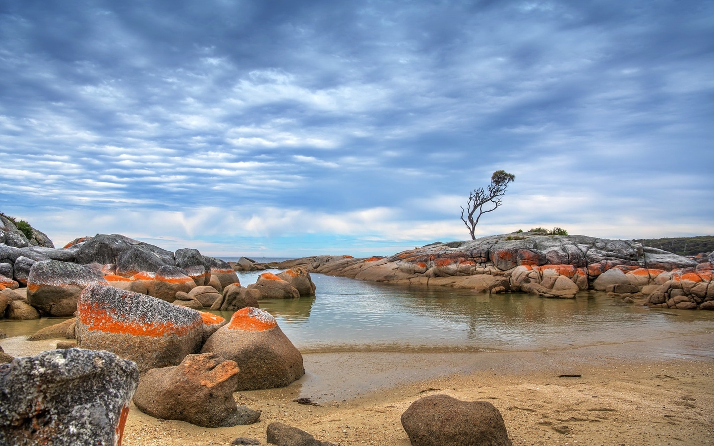 , tasmania, nature