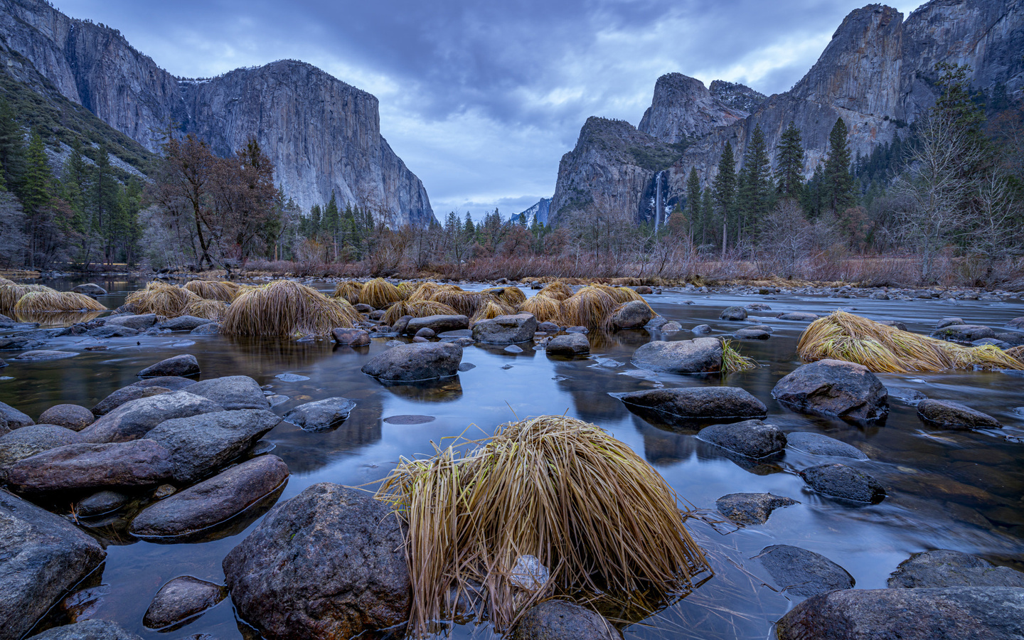 yosemite, national park, 