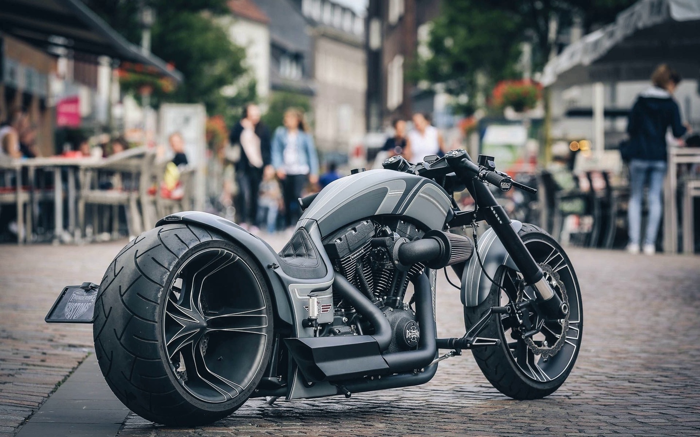 harley davidson, custom, thunderbike