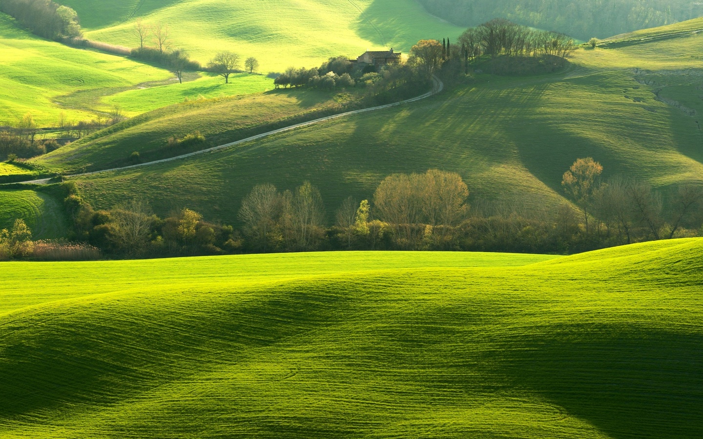 tuscany, green, grass, sky, landscape