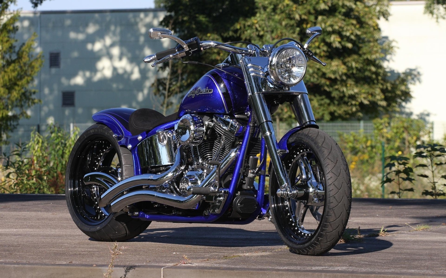 harley davidson, custom, thunderbike