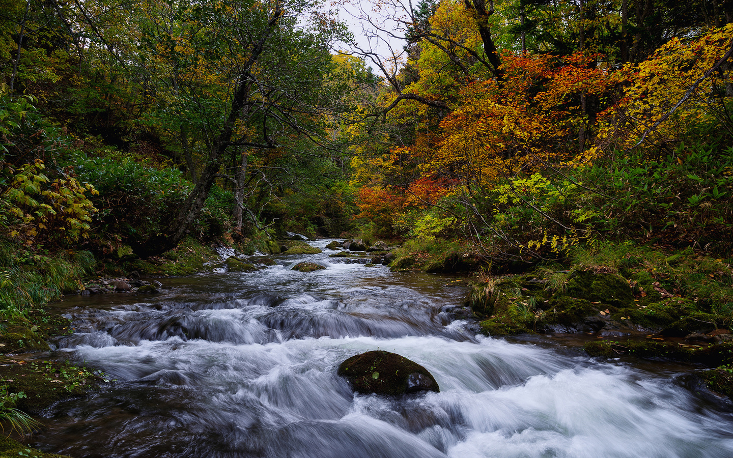 , , , , hokkaido, , , 