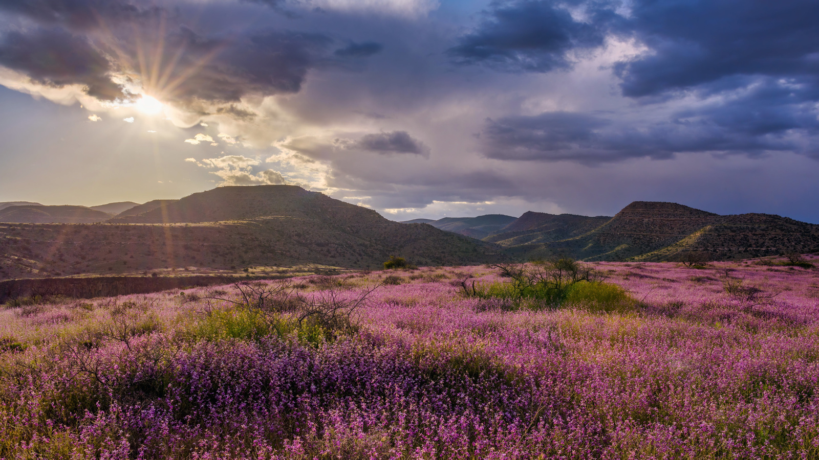 , , grand canyon, clarkdale, , , , 