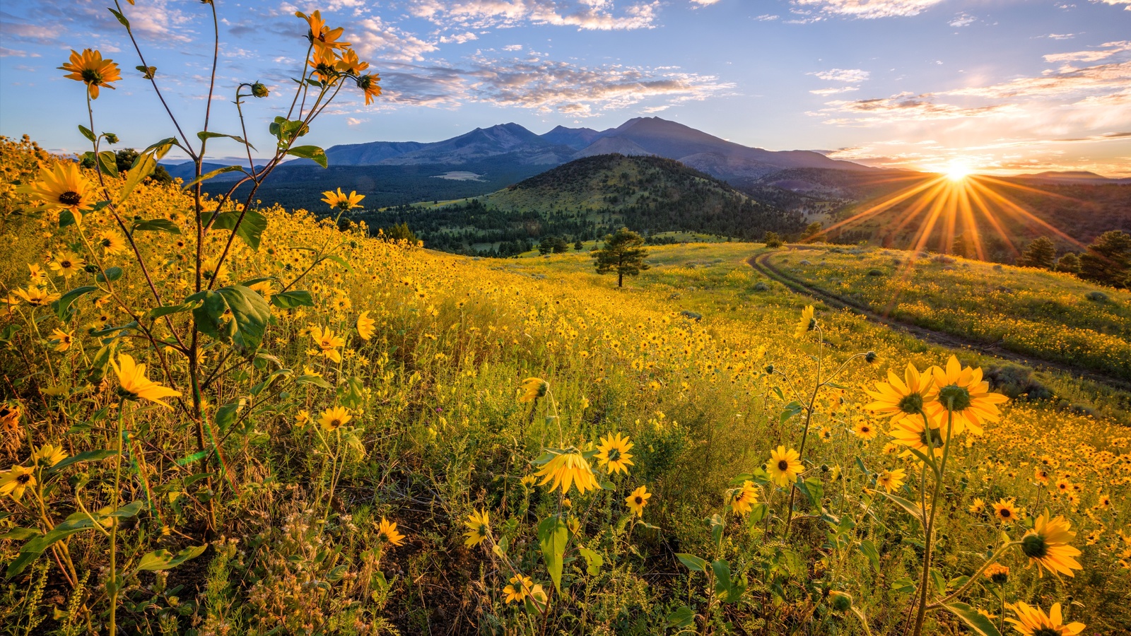 , , , , , flagstaff, arizona, ,  , 