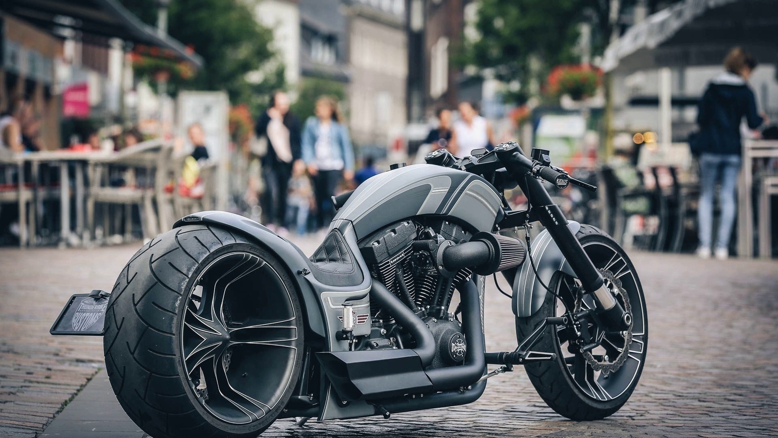 harley davidson, custom, thunderbike