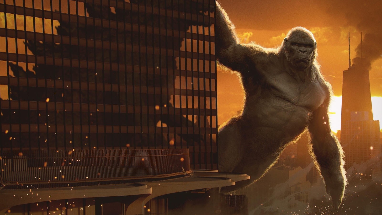 movies, kong, vs, godzilla, 2020, art