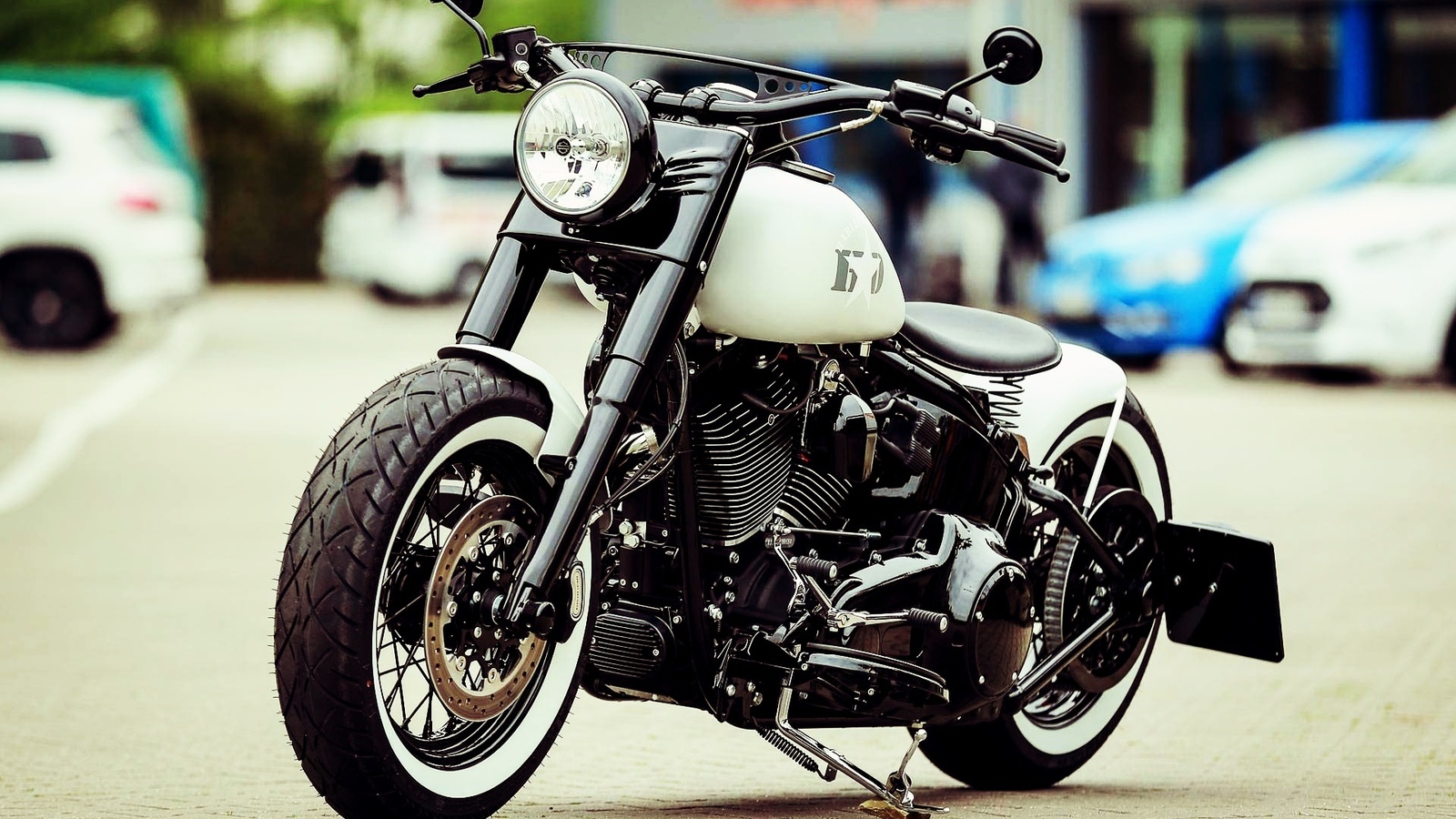 harley davidson, custom, thunderbike