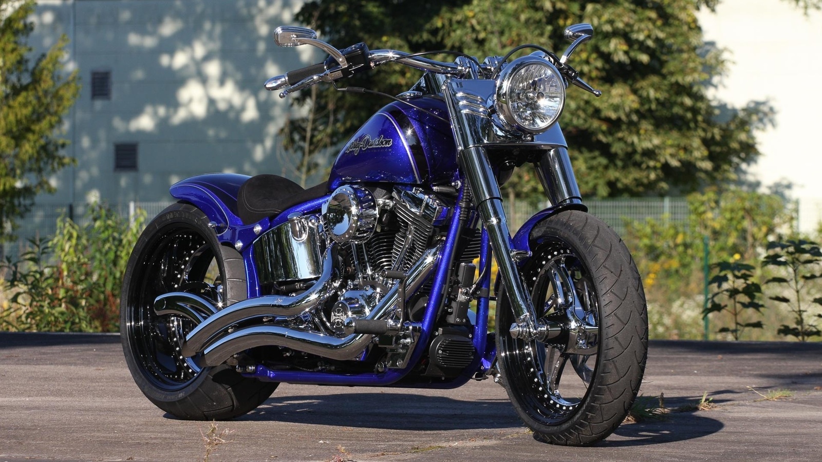 harley davidson, custom, thunderbike