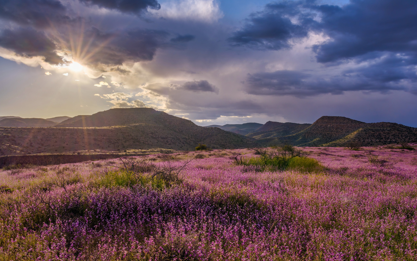 , , grand canyon, clarkdale, , , , 