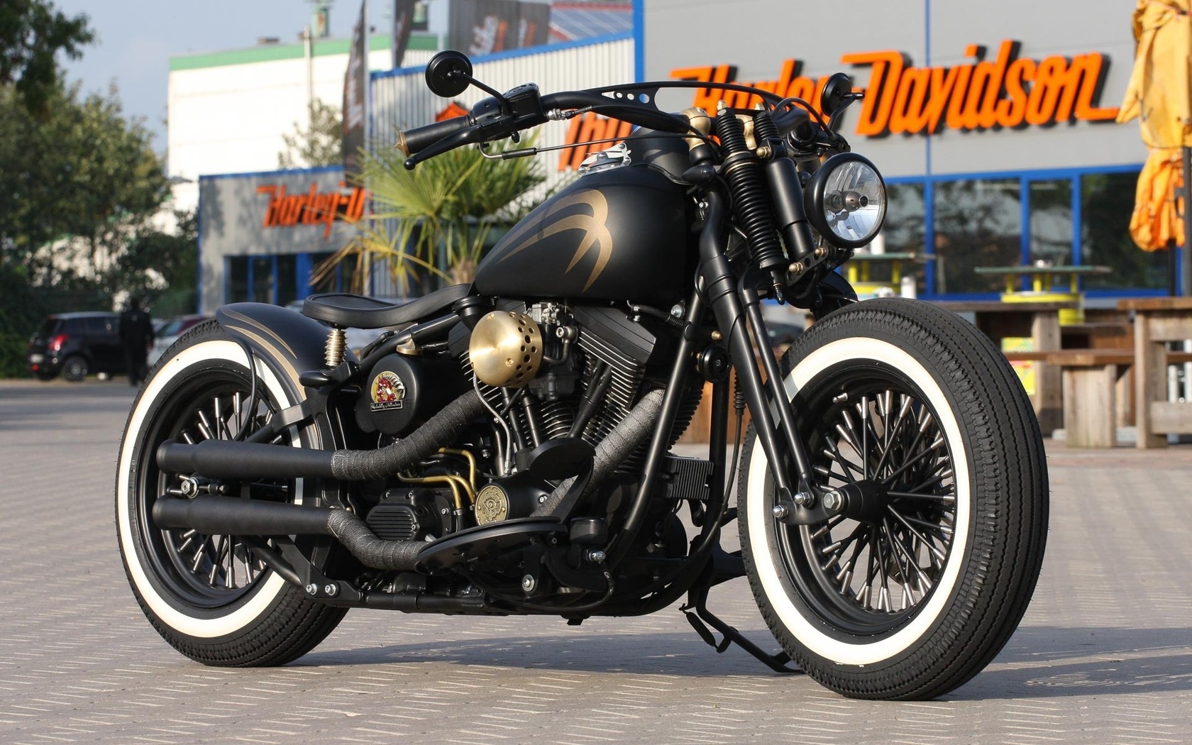 harley davidson, custom, thunderbike