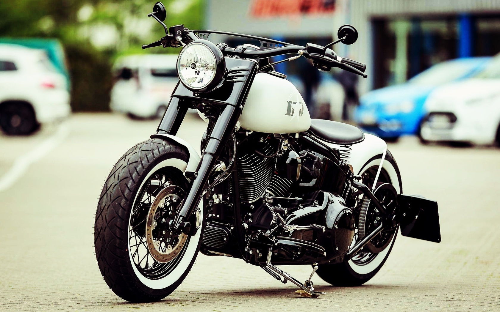 harley davidson, custom, thunderbike