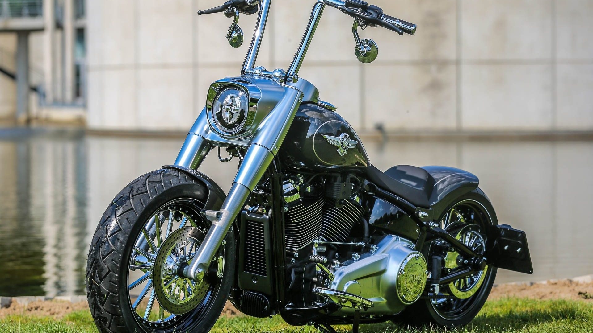 harley davidson, custom, thunderbike