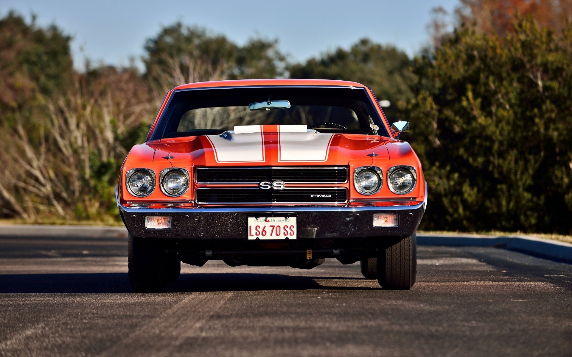 chevrolet, chevelle