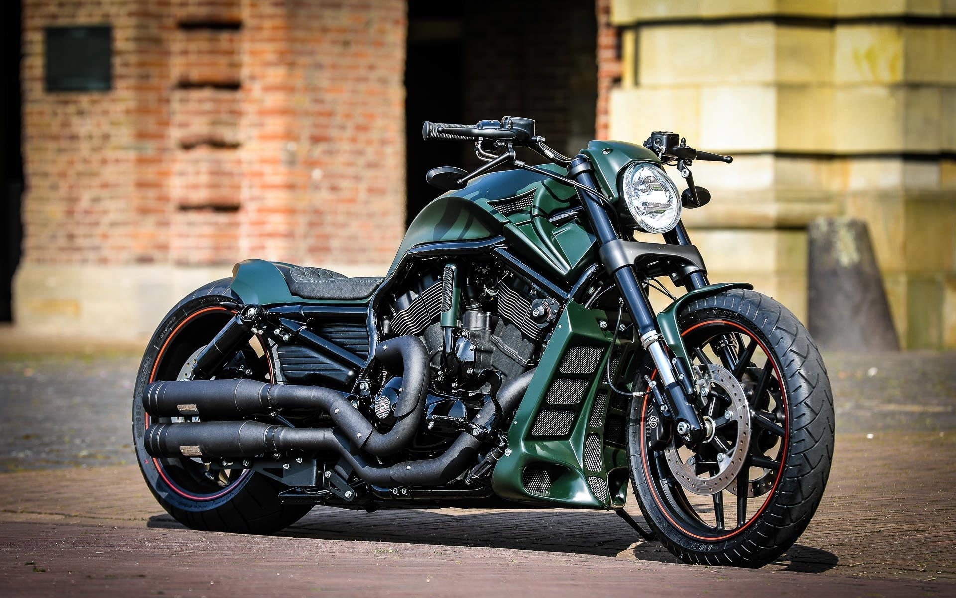 harley davidson, custom, thunderbike