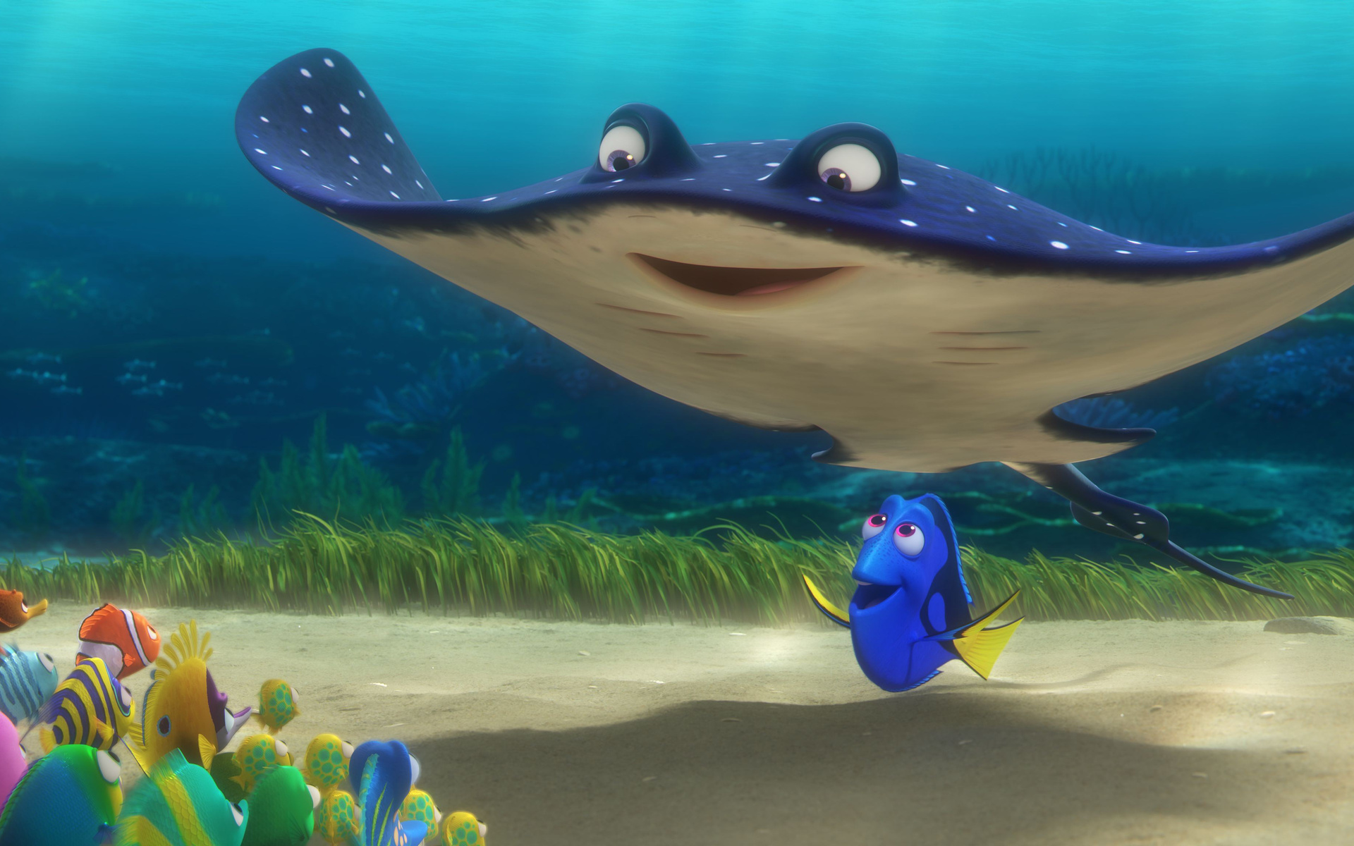 , ,  , finding dory