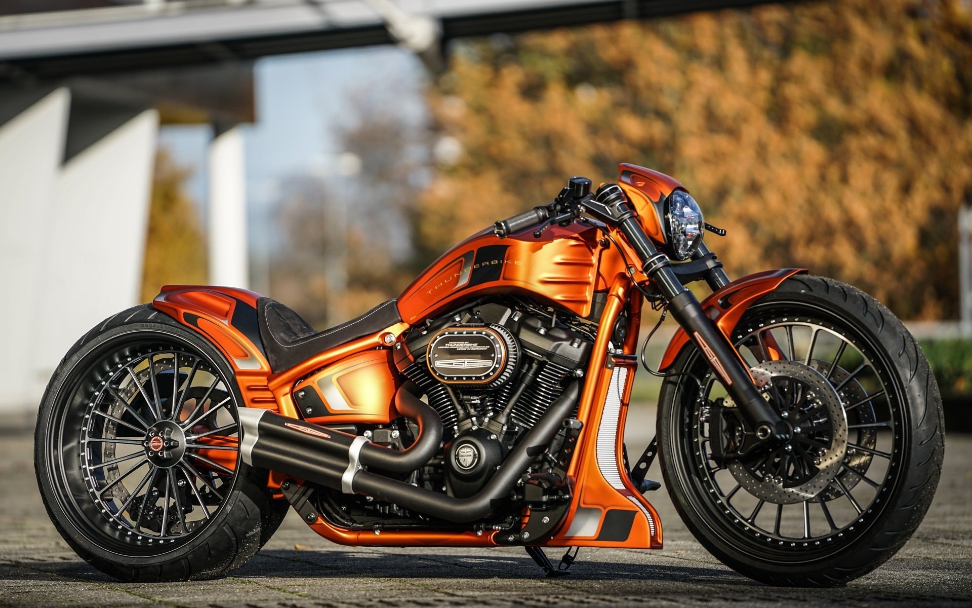 harley davidson, custom, thunderbike