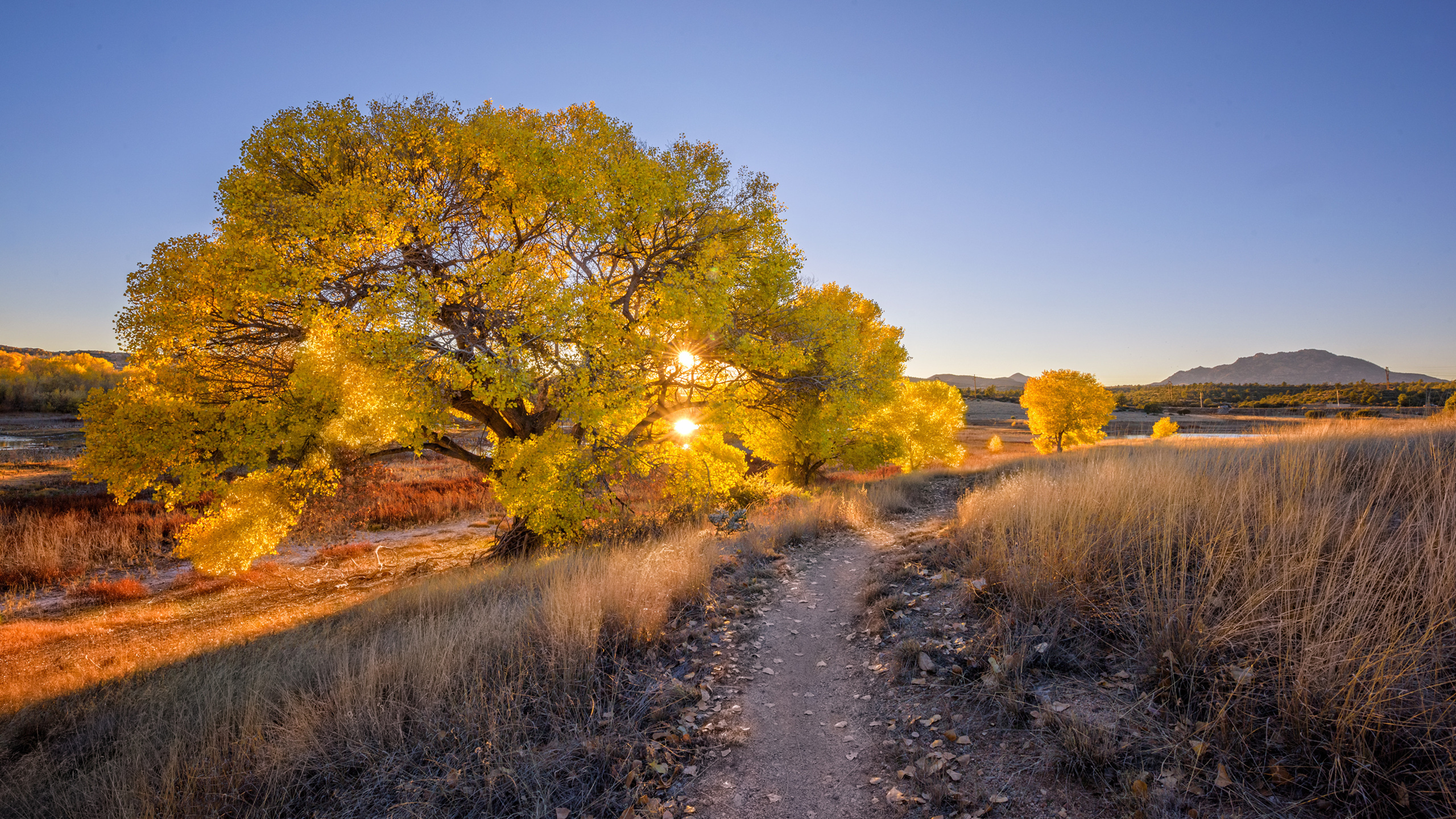 , prescott, arizona, , , , 