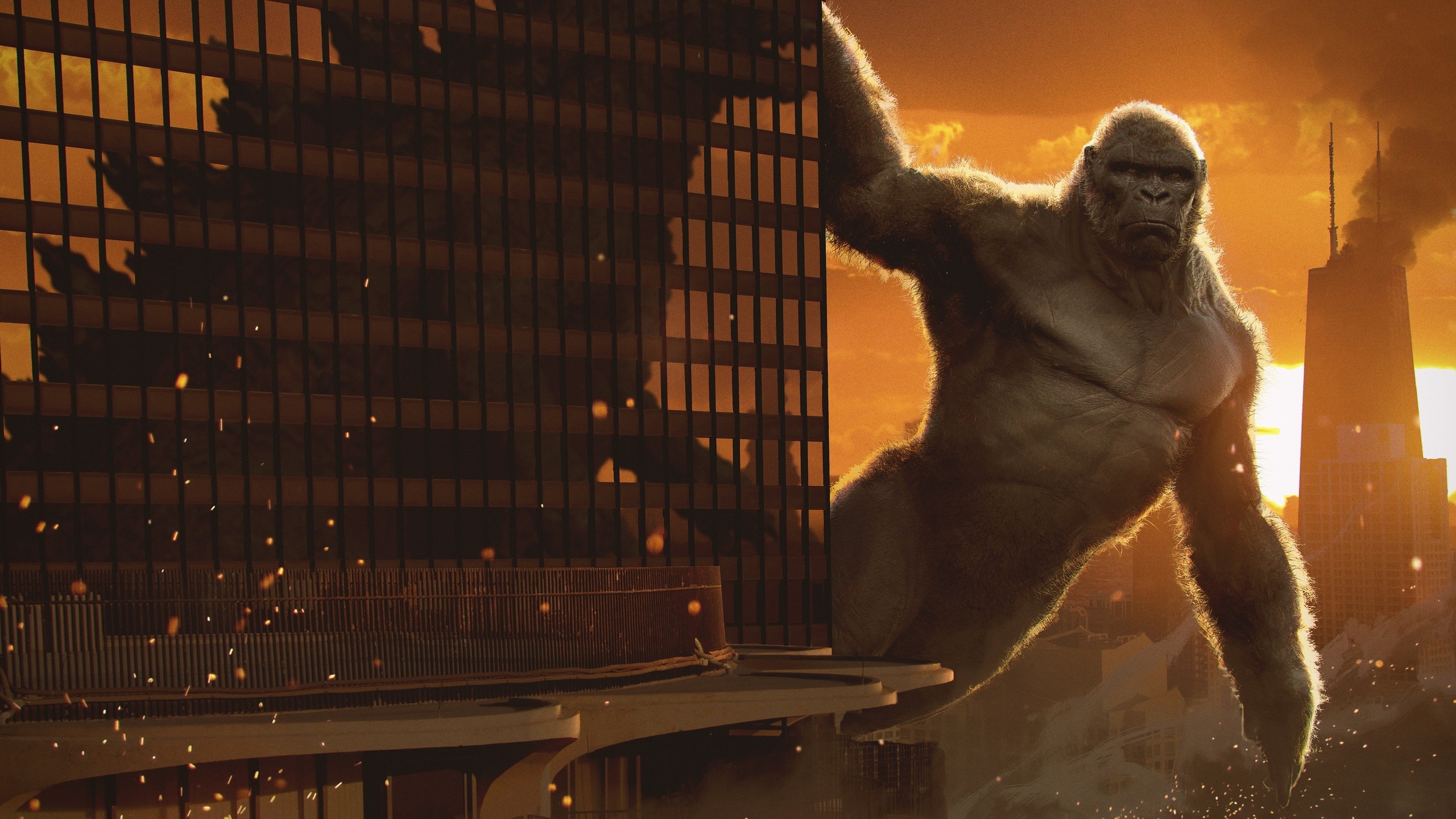 movies, kong, vs, godzilla, 2020, art