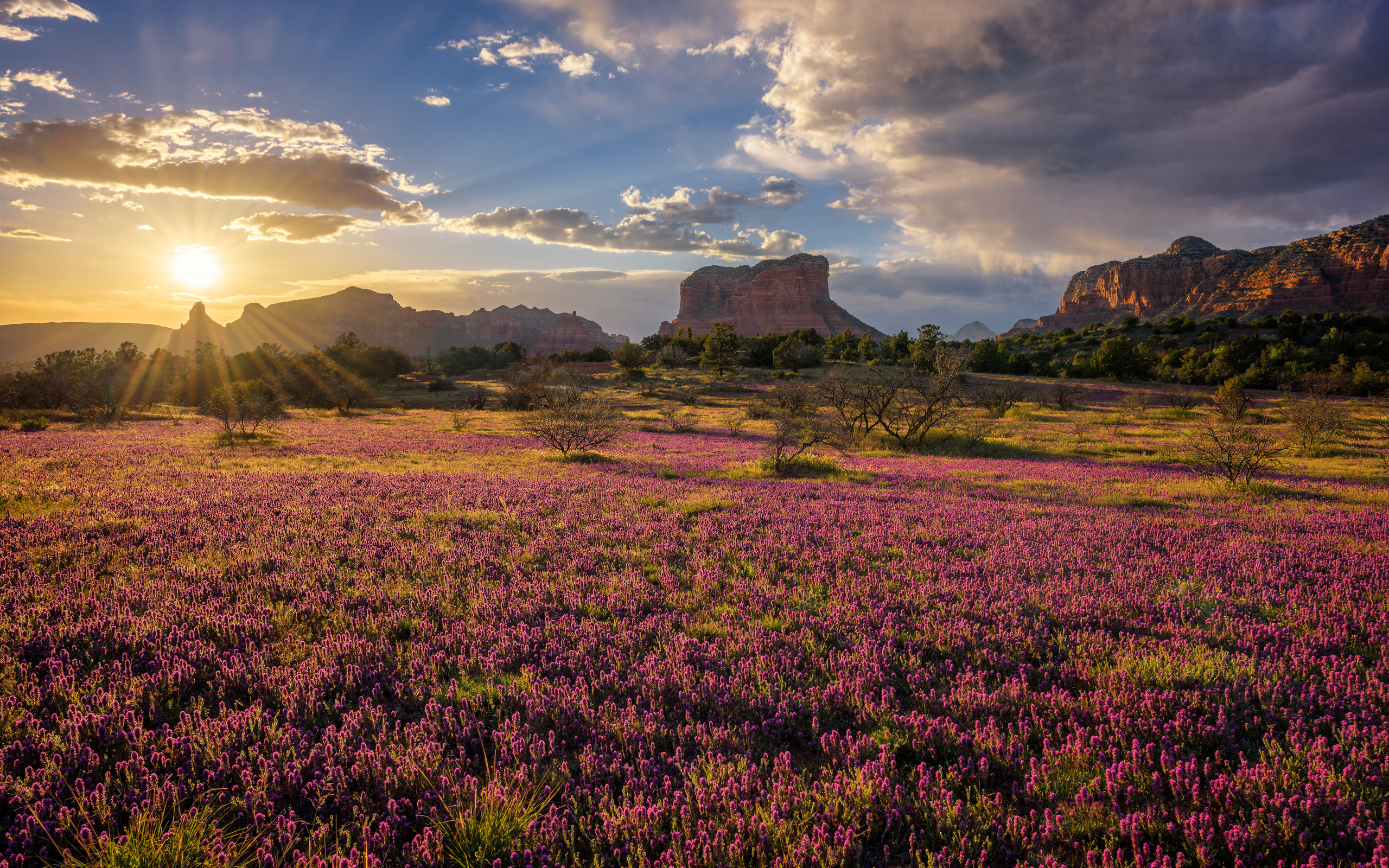 , , , , sedona, arizona, , 