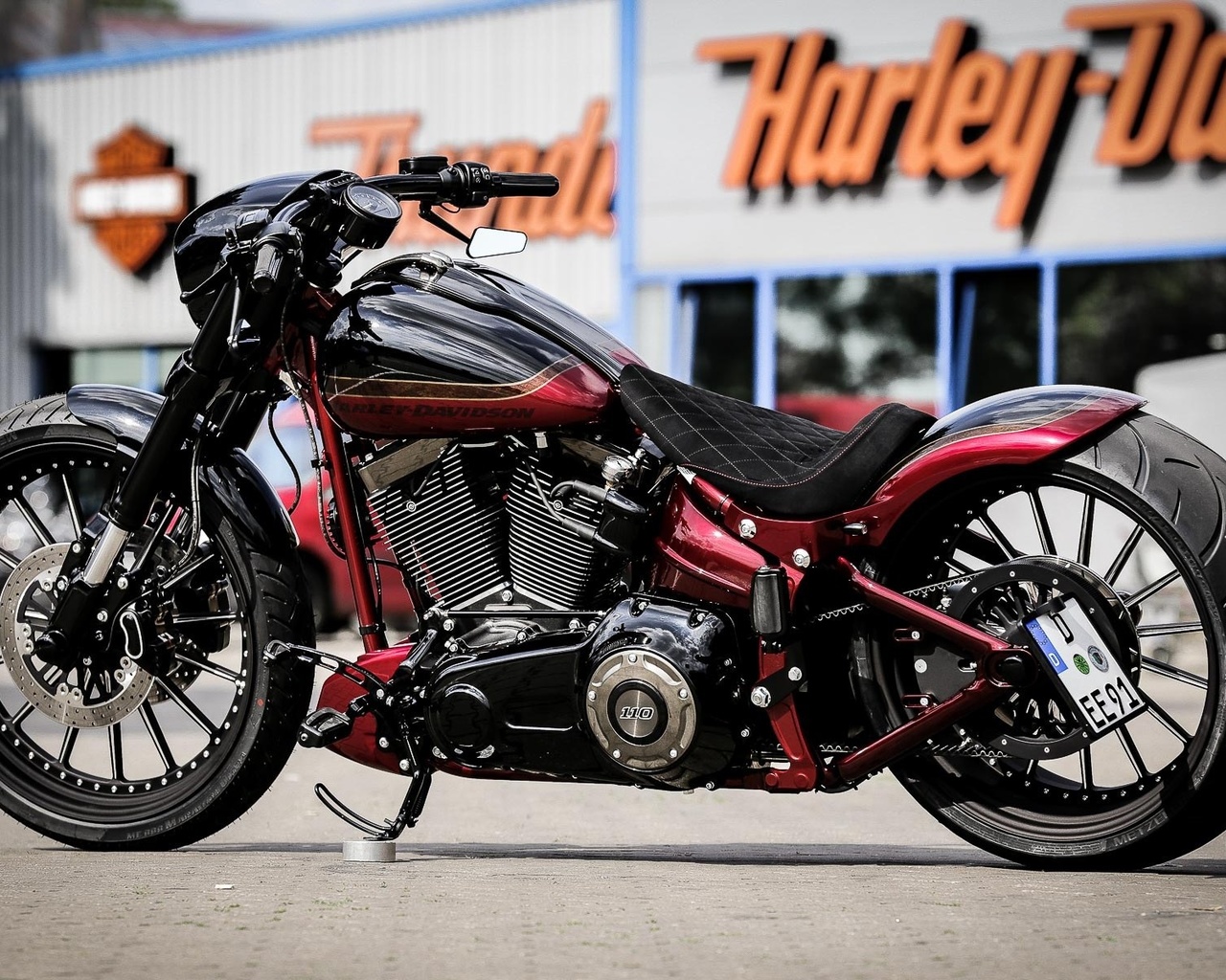 harley davidson, custom, thunderbike, softail