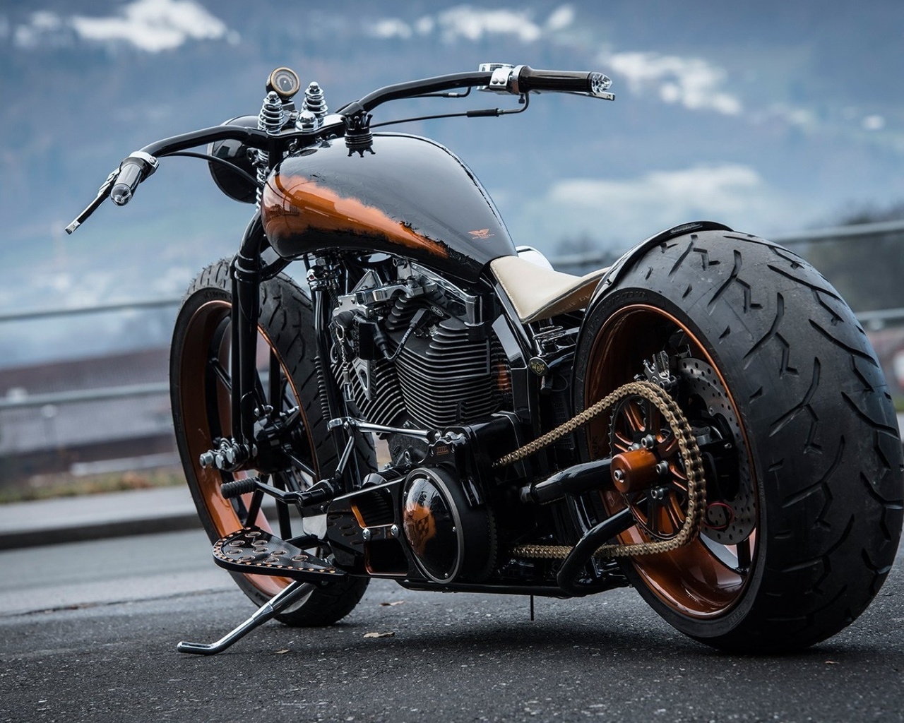 harley davidson, custom, thunderbike