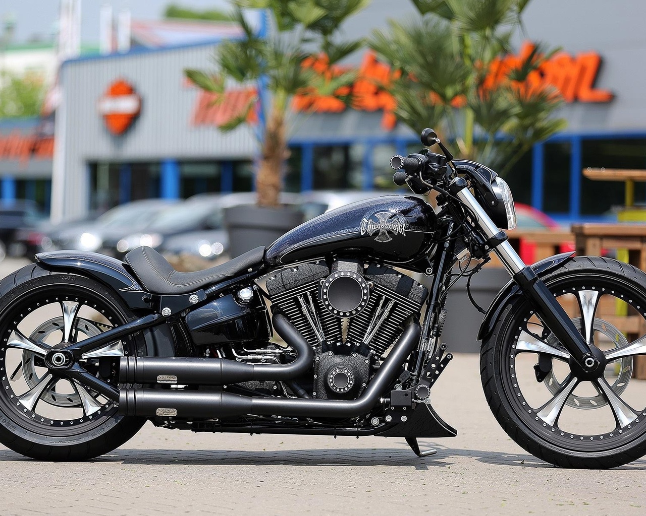 harley davidson, custom, thunderbike