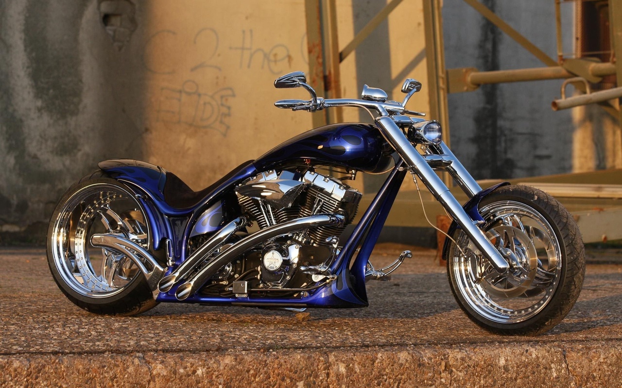 harley davidson, custom, thunderbike