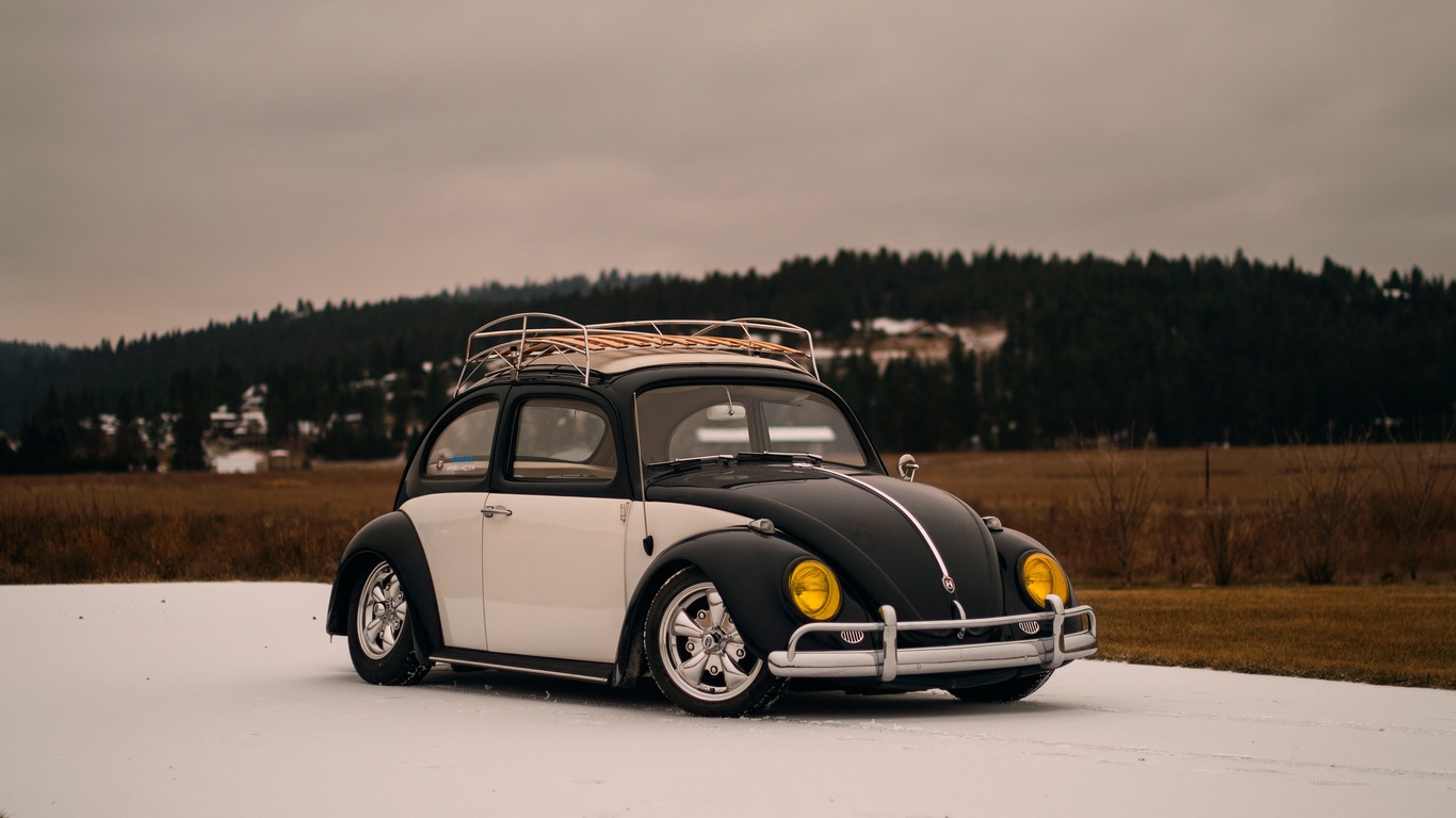 volkswagen, beetle