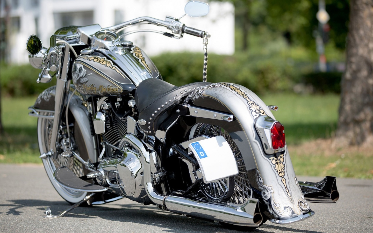 harley davidson, custom