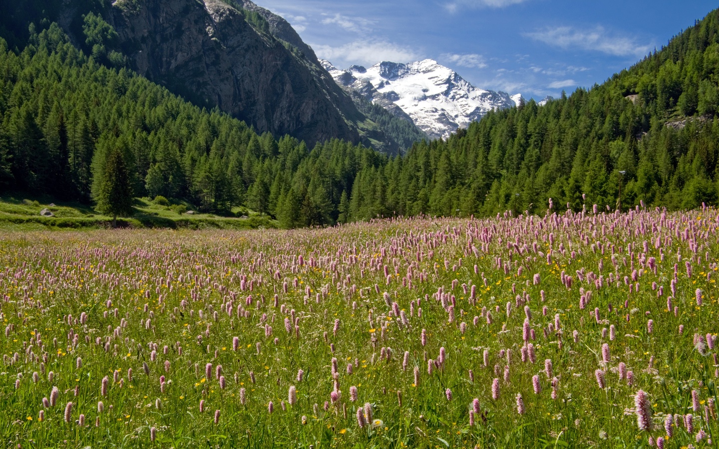 gran paradiso national park, , , , , 