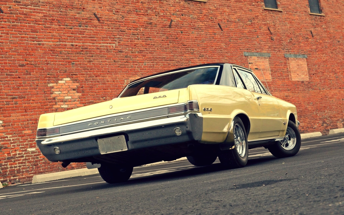 american, classic, car, pontiac, gto