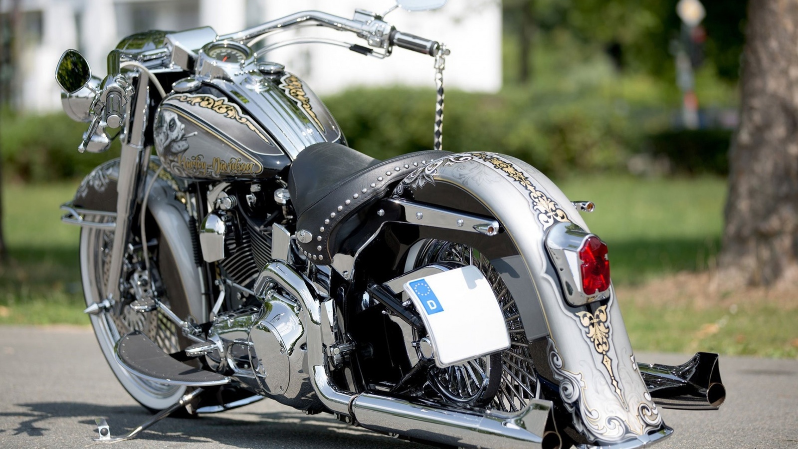 harley davidson, custom