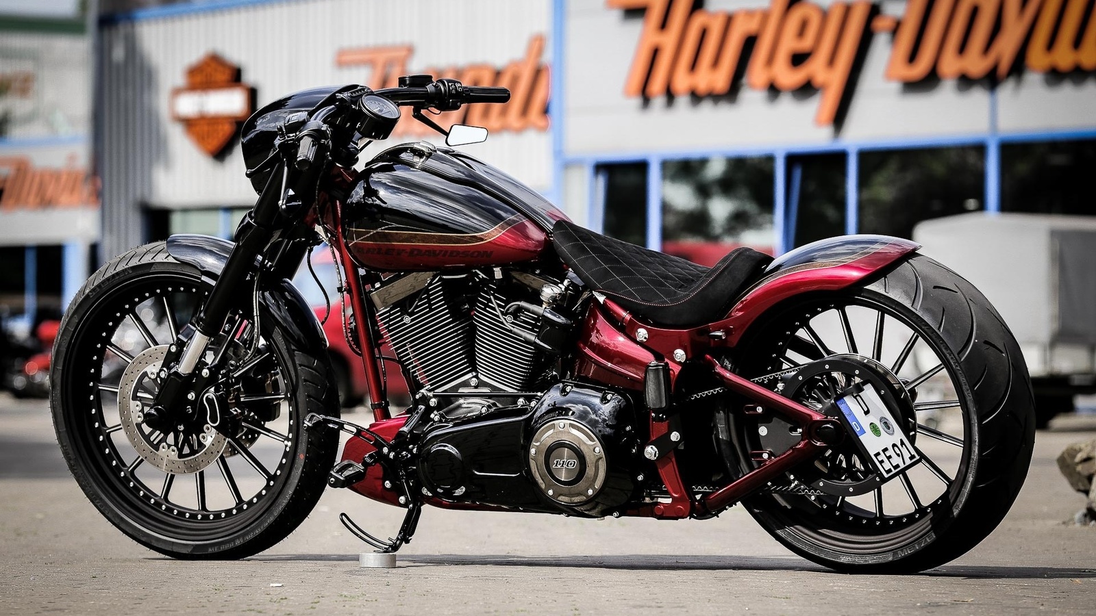 harley davidson, custom, thunderbike, softail