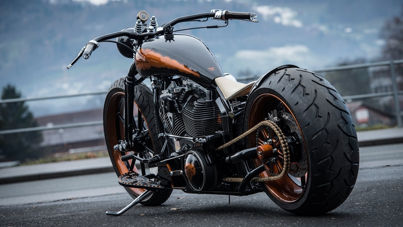 harley davidson, custom, thunderbike