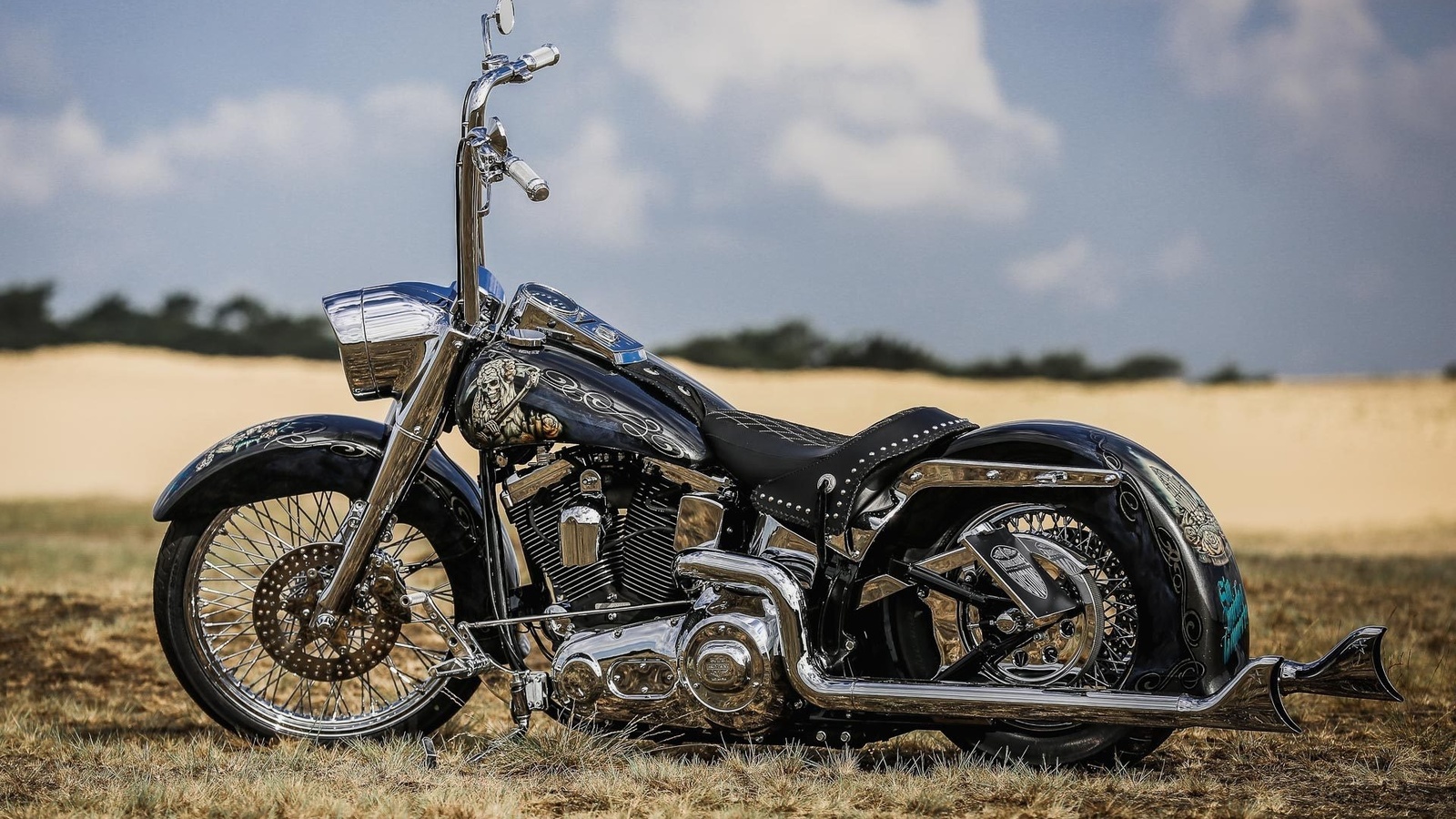 harley davidson, custom, thunderbike, ei gringo