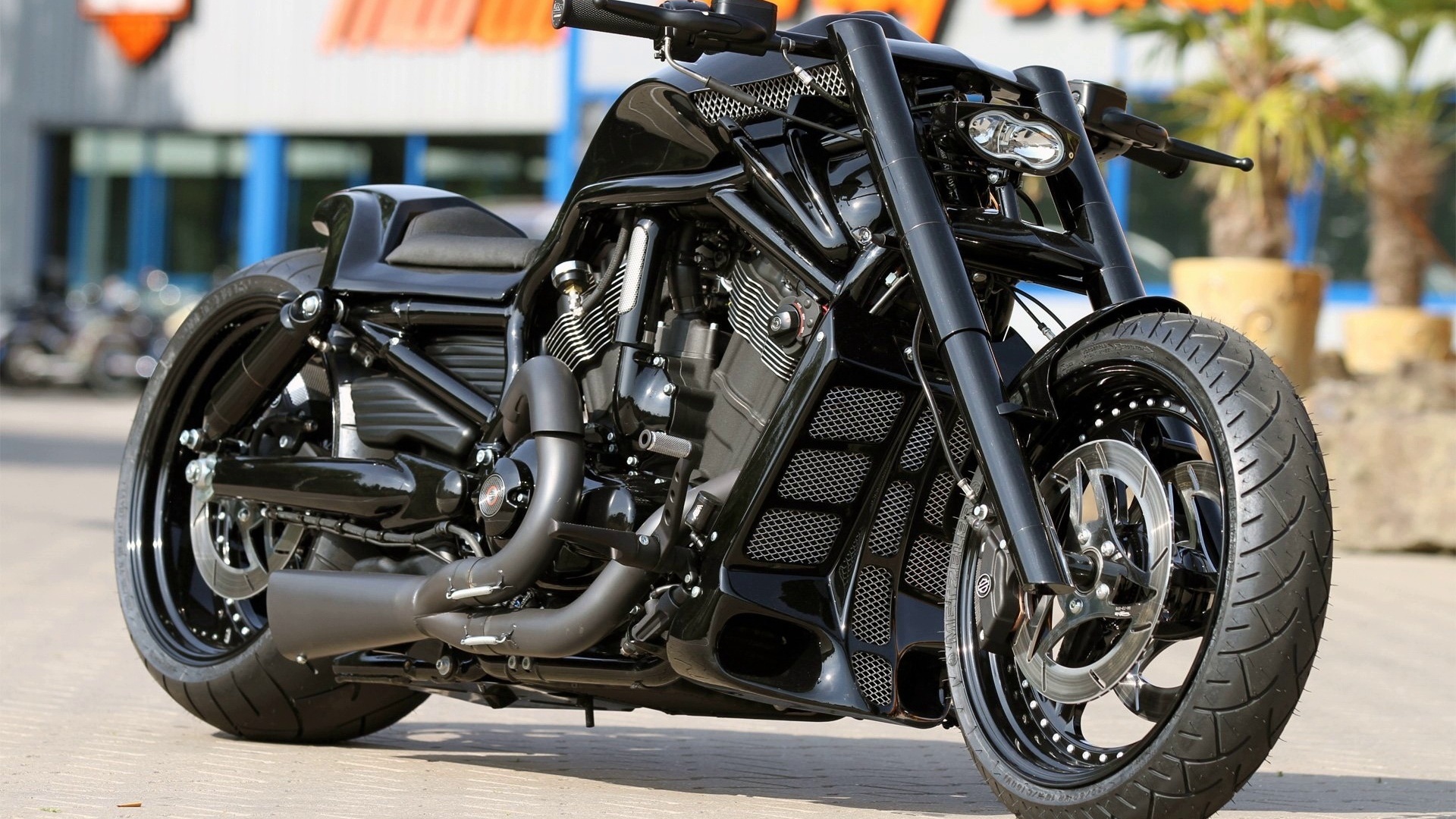 harley davidson, custom, thunderbike