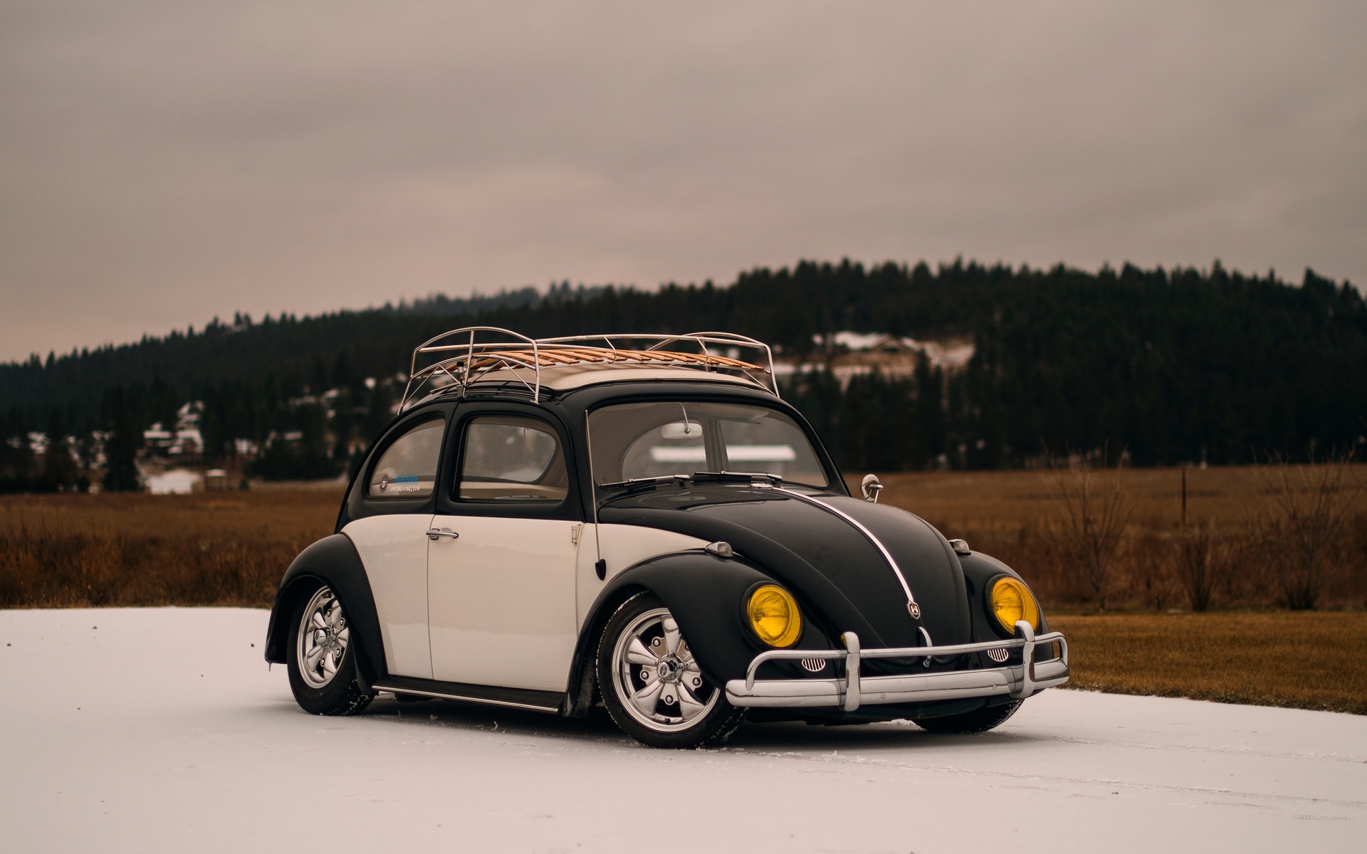 volkswagen, beetle