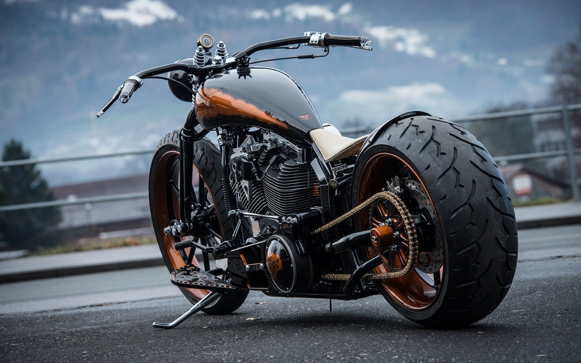 harley davidson, custom, thunderbike